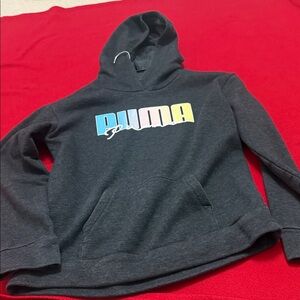 Puma Charcoal Hoodie with Colorful Logo